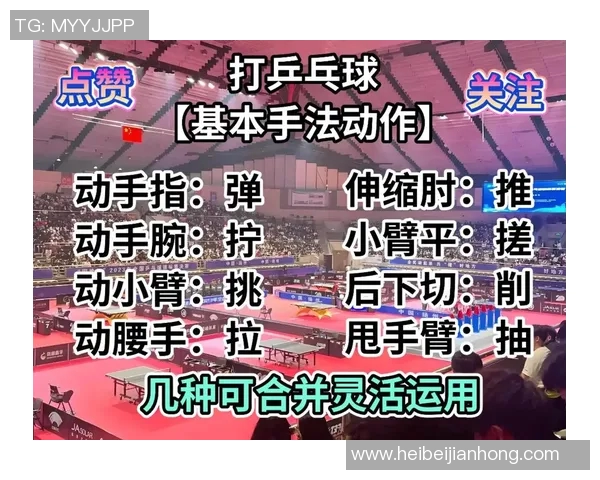 乒乓球的魅力与激情：深入广州乒乓球队的训练与比赛节奏探讨
