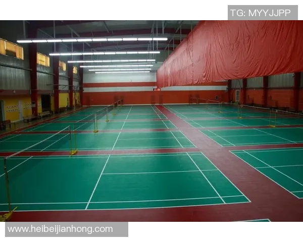 北京羽毛球队选拔赛技术表现分析与提升建议 北京羽毛球队选拔赛技术表现分析与提升建议