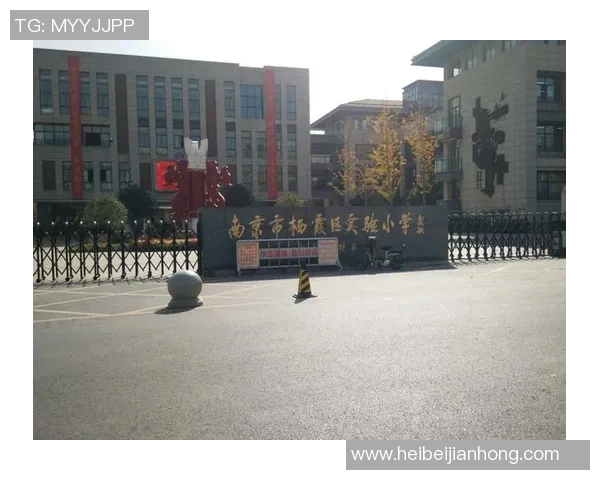 南京羽毛球队区域防守创新之路探索与实践分析