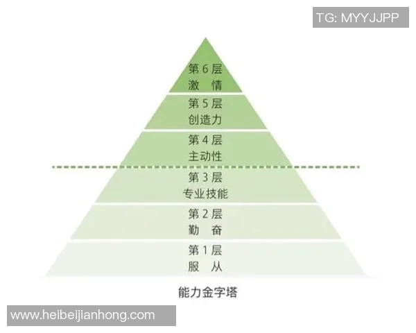 广州排球队与上海排球队的赛后复盘及团队协作分析探讨