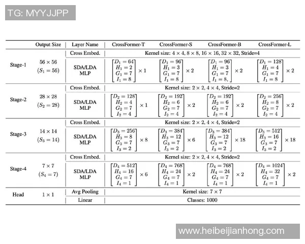 武汉足球队整体压制战术分析及其成败得失的深度探讨