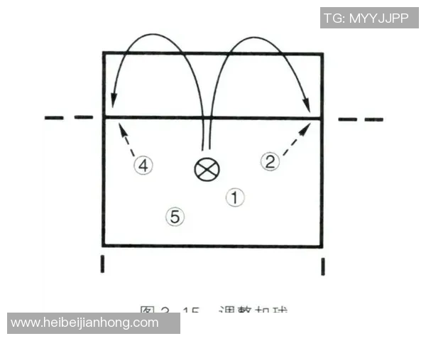 排球焦点：杭州排球队的战术探讨