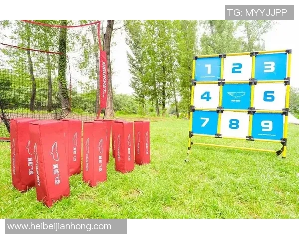 热议飞盘:深圳飞盘队的耐力变革_1