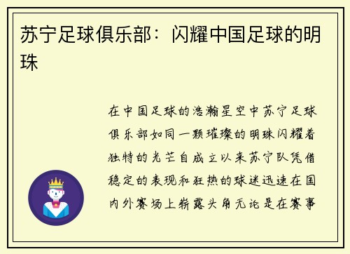 苏宁足球俱乐部：闪耀中国足球的明珠