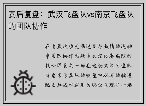 赛后复盘：武汉飞盘队vs南京飞盘队的团队协作
